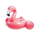 FLAMANT ROSE GEANT-1
