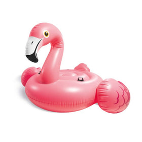 FLAMANT ROSE GEANT