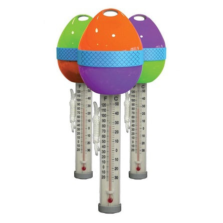 THERMOMÈTRE OEUF COULEUR